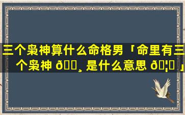 三个枭神算什么命格男「命里有三个枭神 🌸 是什么意思 🦆 」